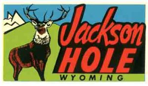Jackson Hole WY Elk