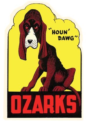 Ozarks Dog