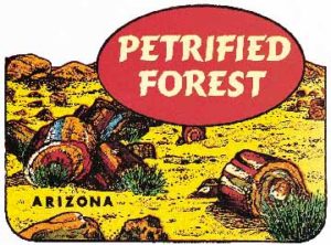 Petrified Forest AZ
