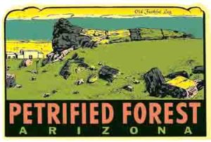 Petrified Forest Arizona