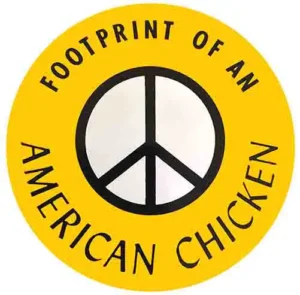 American Chicken