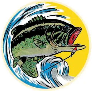 Bass Fishing