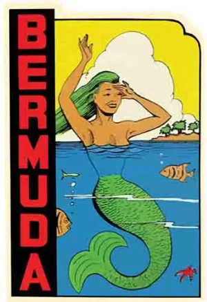 Bermuda-Mermaid
