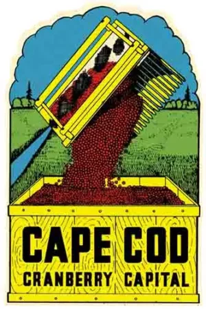 Cape Cod- Cranberry