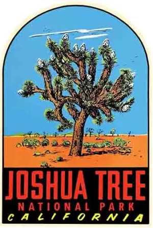 Joshua Tree -CA