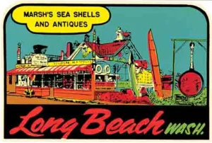 Long Beach - WA shells