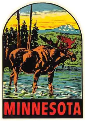 Minnesota moose