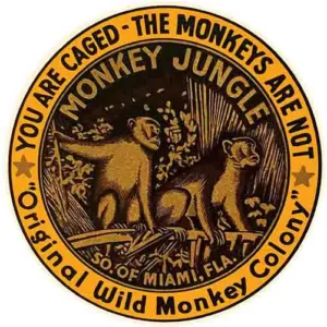 Monkey Jungle- FL- round