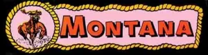 Montana Bumper