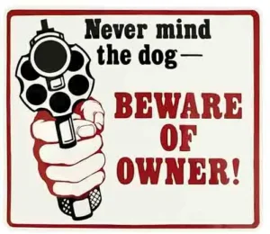 Nevermind the Dog
