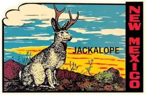 NewMexico Jackalope