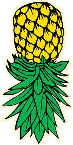Pineapple