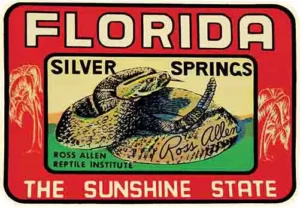 Ross Allen- FL