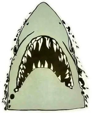 Shark attack