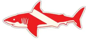 Shark Diver