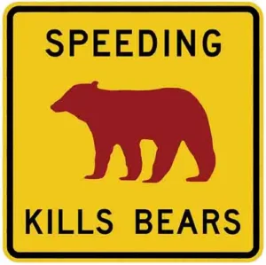Speeding Kills Bears