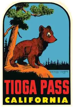 Tioga Pass- CA