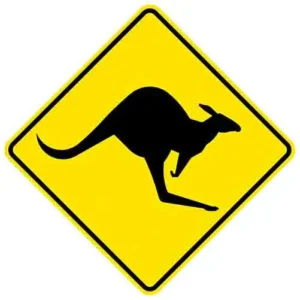 Kangaroo Xing