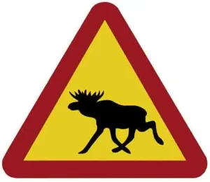 Moose Scandinavia