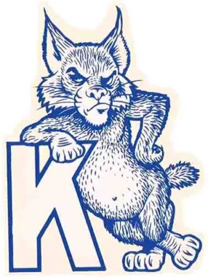 Kentucky Wildcats mad cat