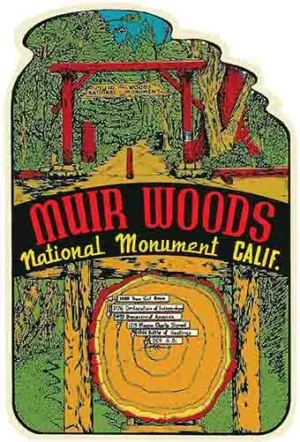 Muir Woods CA