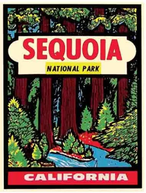 Sequoia red