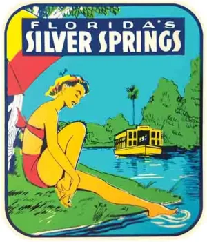 Silver Springs FL pool