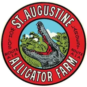 St. Augustine FL gator farm