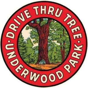 Underwood Park tree
